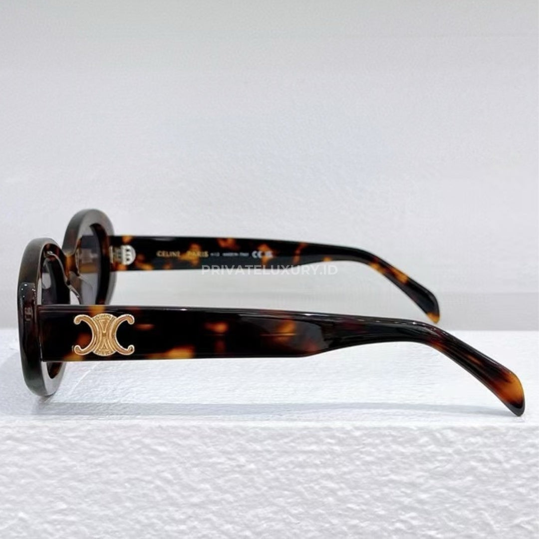 Triomphe 01 Sunglasses in Acetate