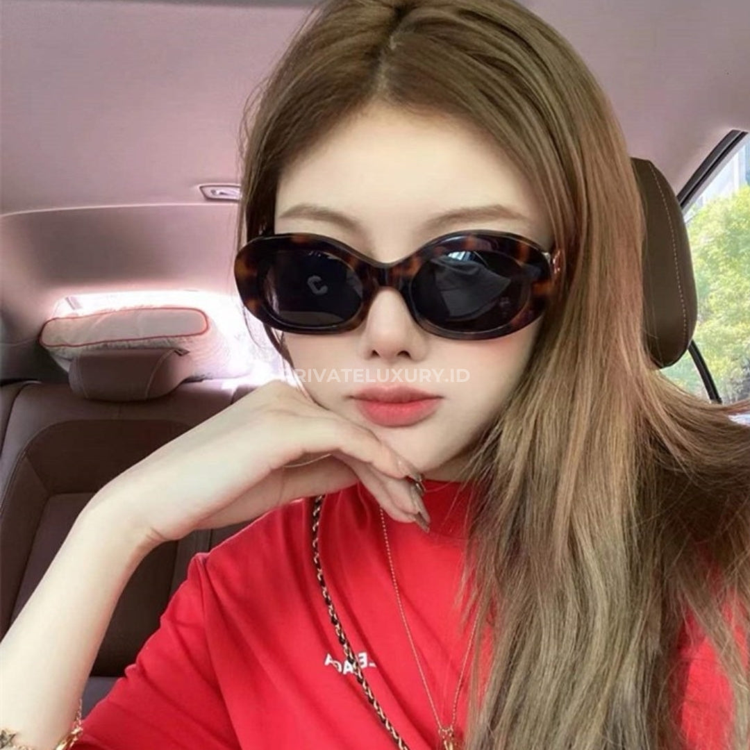 Triomphe 01 Sunglasses in Acetate