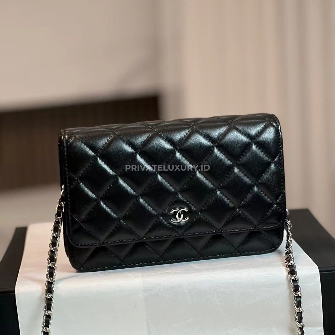 Classic Wallet On Chain