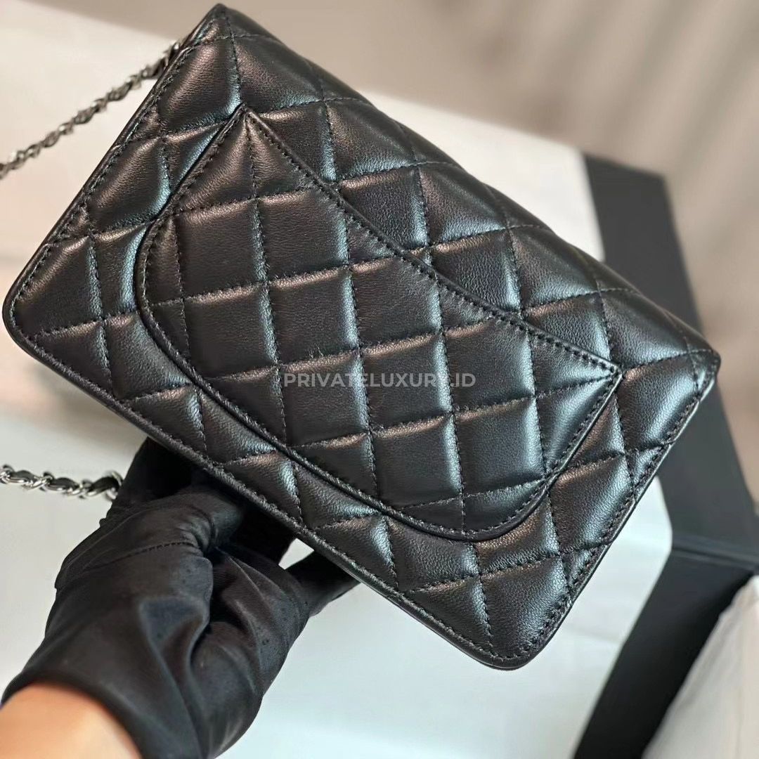 Classic Wallet On Chain