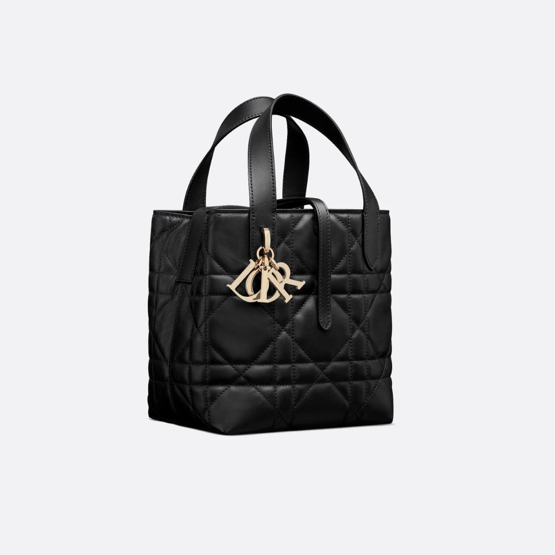 Small Dior Toujours Vertical Tote Bag