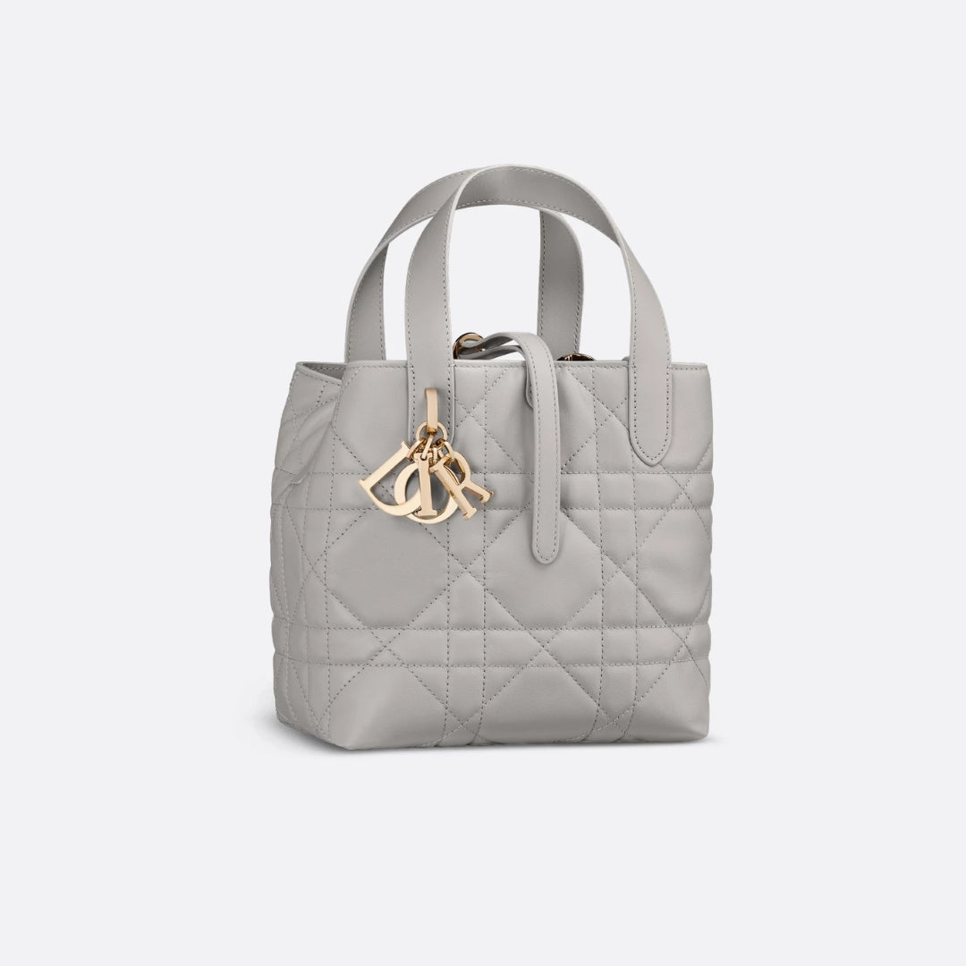 Small Dior Toujours Vertical Tote Bag