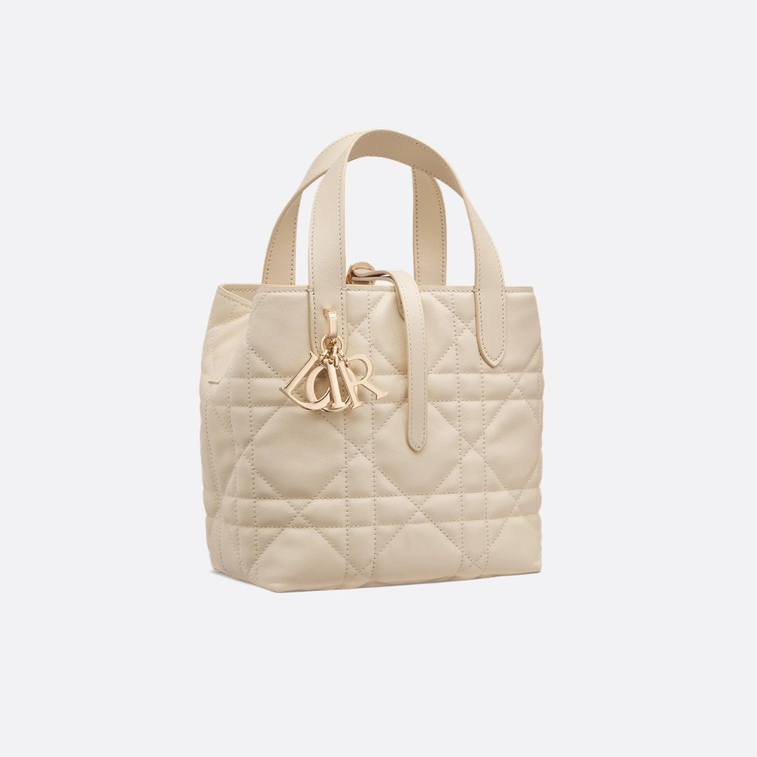 Small Dior Toujours Vertical Tote Bag