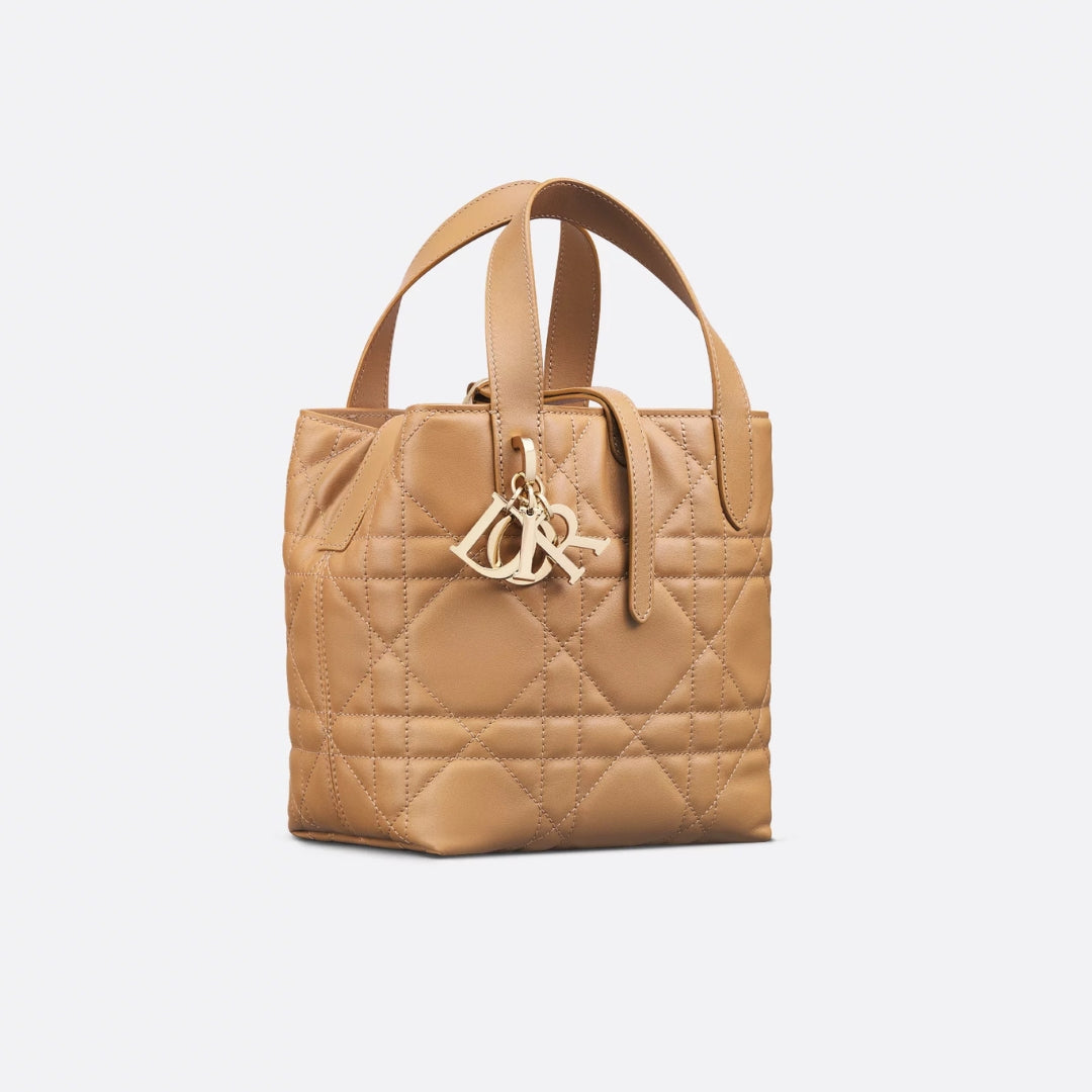 Small Dior Toujours Vertical Tote Bag