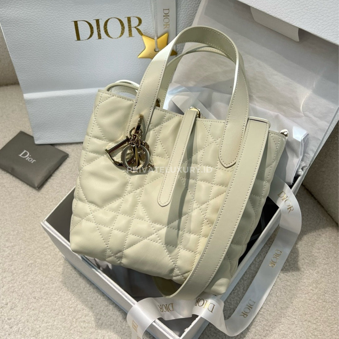 Small Dior Toujours Vertical Tote Bag