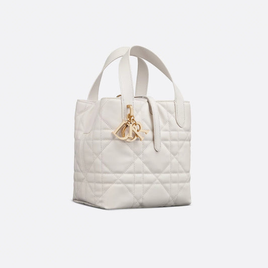 Small Dior Toujours Vertical Tote Bag