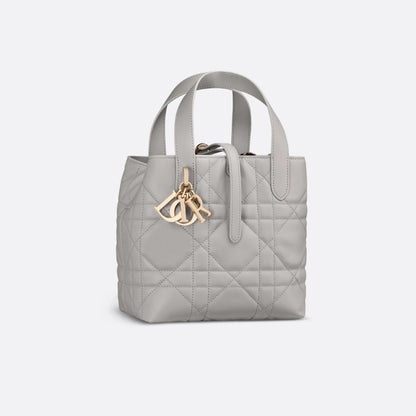Small Dior Toujours Vertical Tote Bag