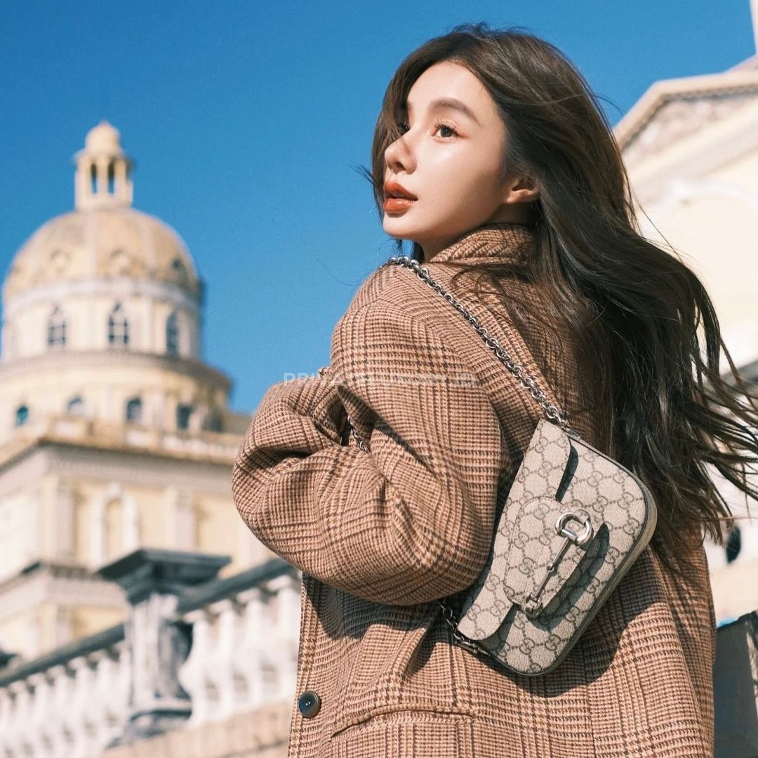 Horsebit 1955 Mini Shoulder Bag